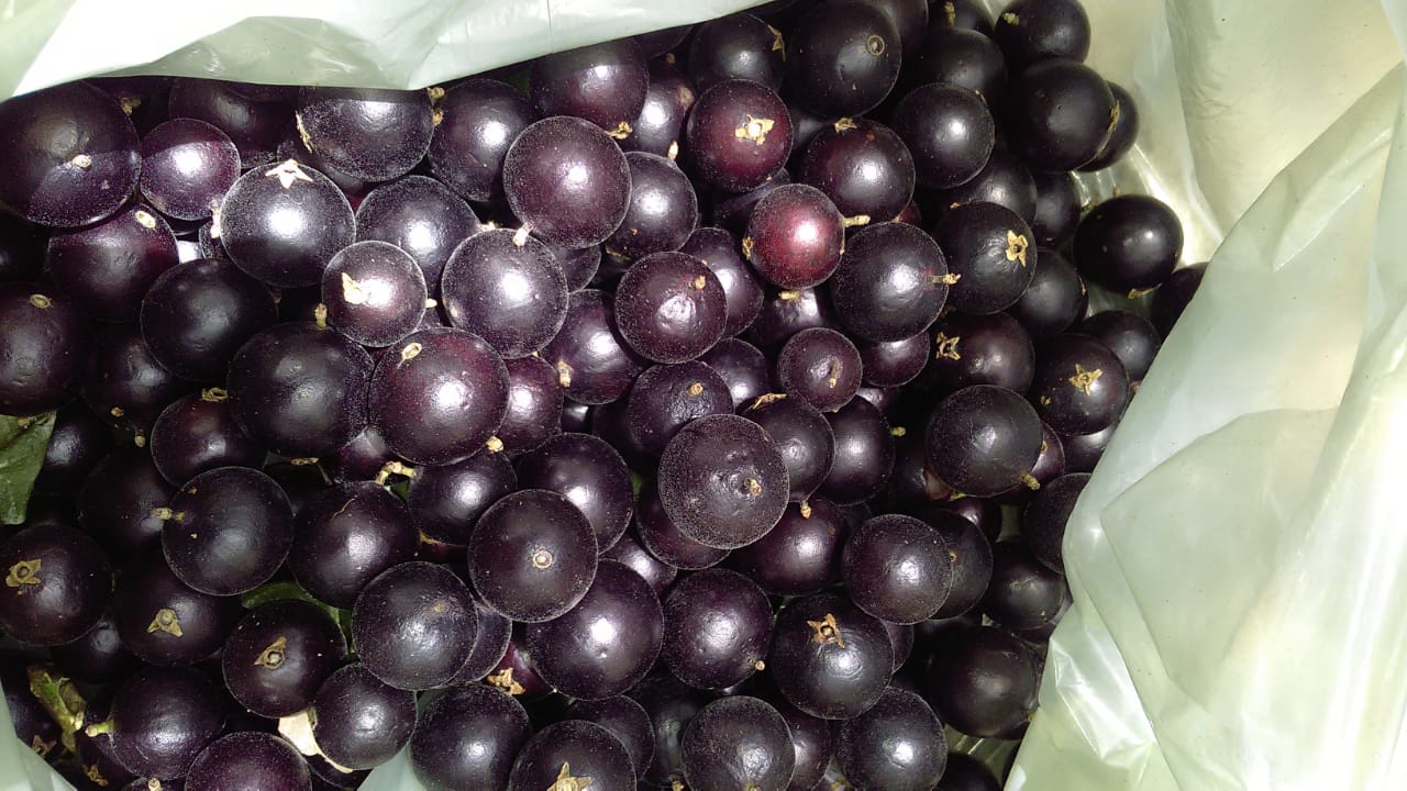 WhatsApp Image 2020-12-09 at 04.00.22 (9)