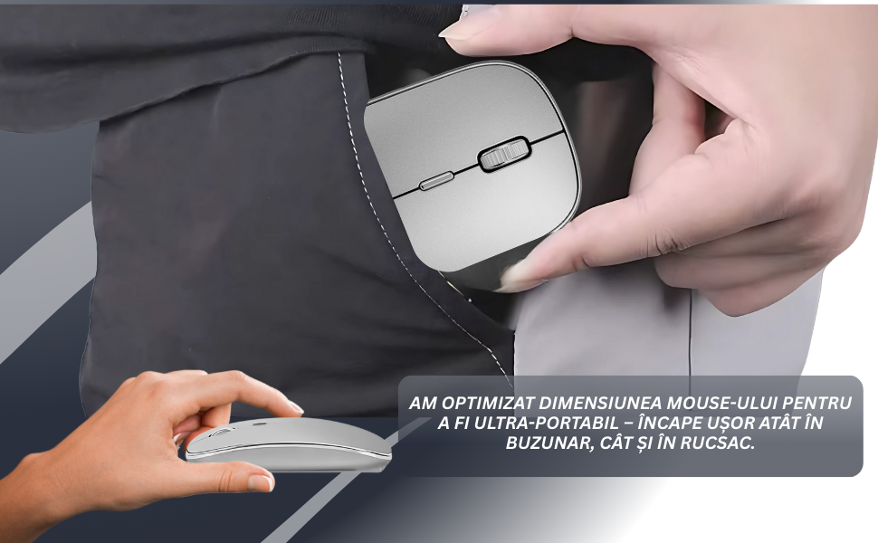 Mouse NETSTAT Prezentare 7