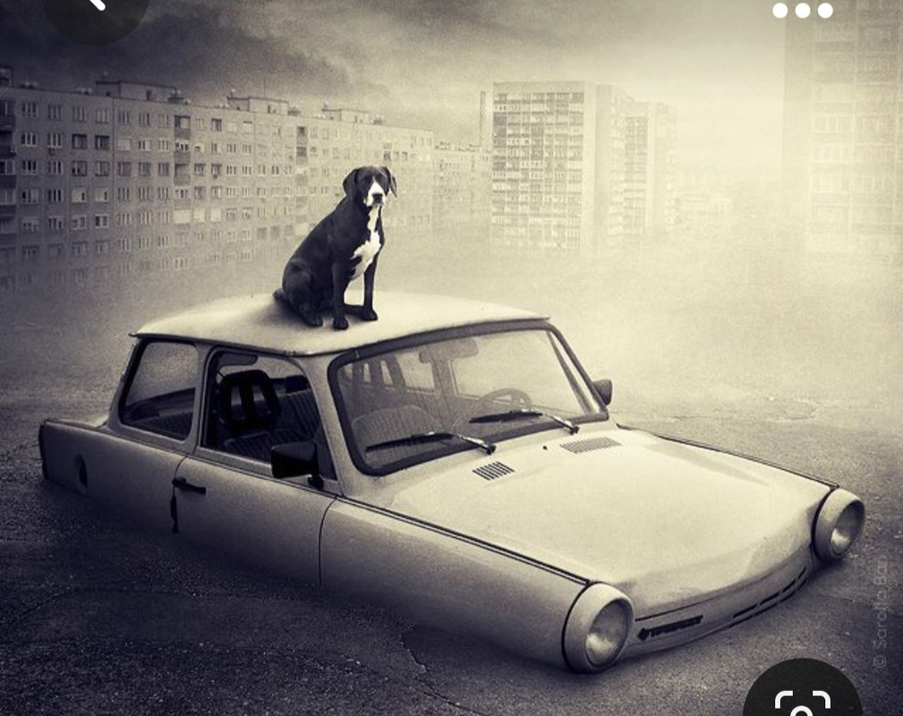 Screenshot_20231027_010617_Pinterest