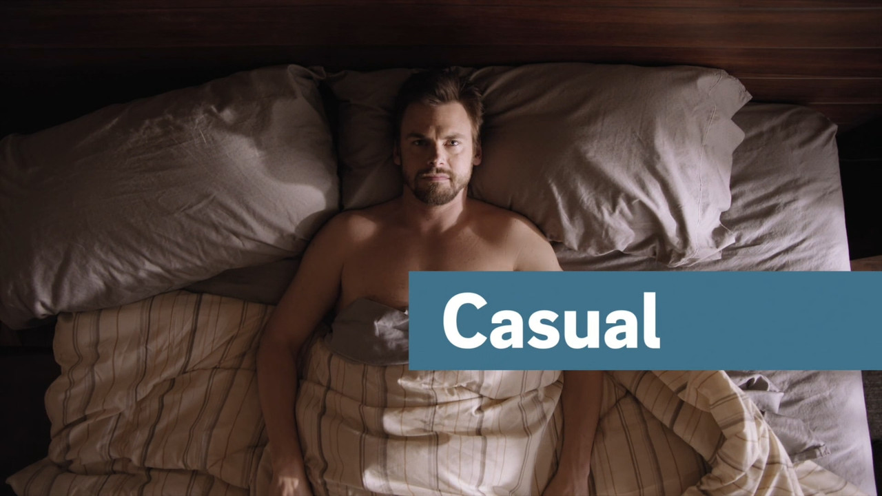 Casual (2015) Season 1-4 S01-S04 (1080p AMZN WEB-DL x265 HEVC 10