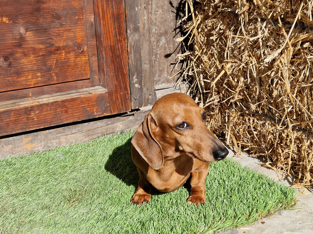 [Image: 20230218-113226.jpg]