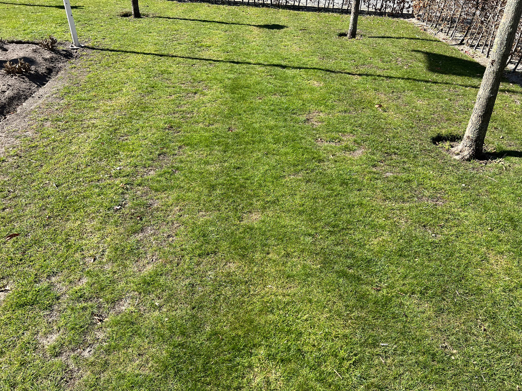 7E1AD51D-813A-4F87-A20B-9C0E7FF56EDD