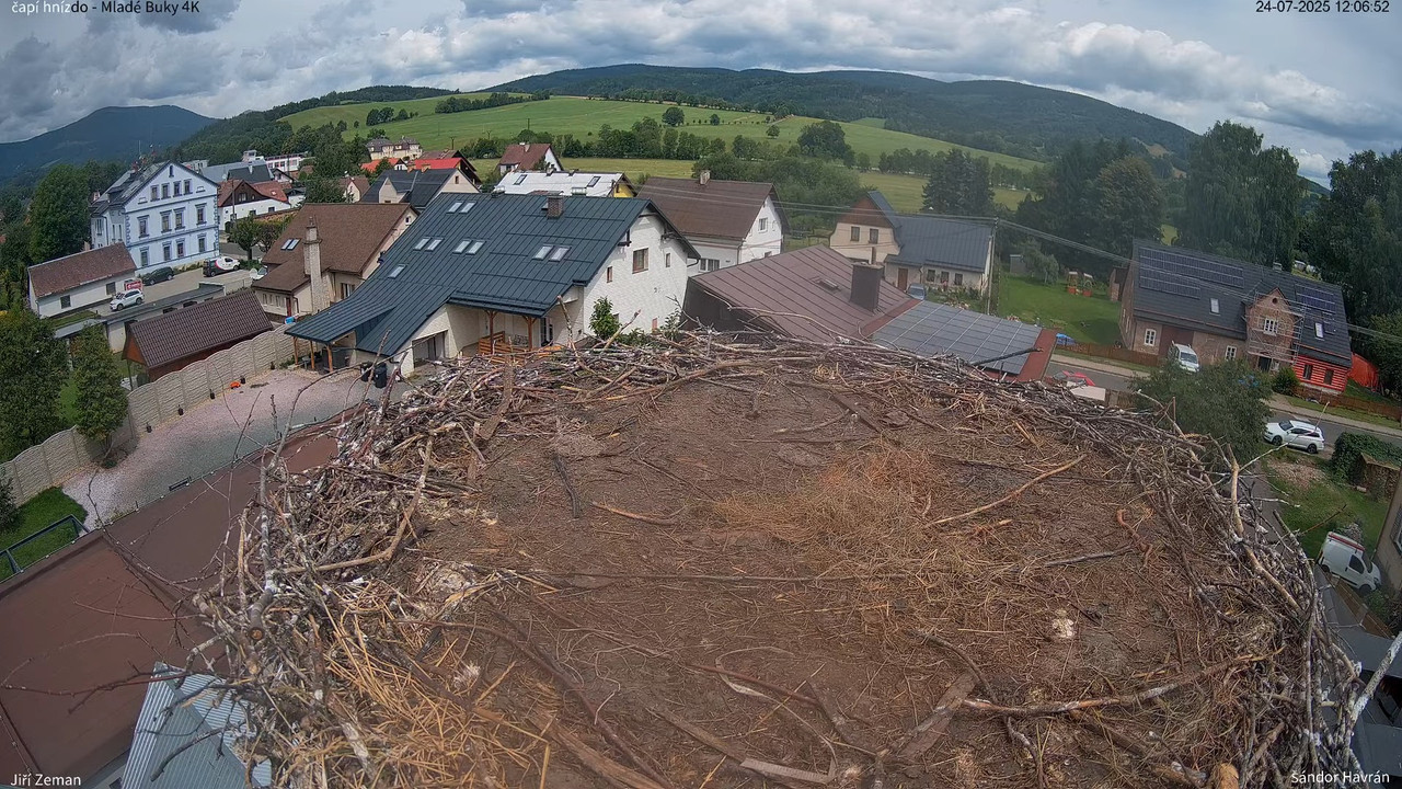 Tiešraides kamera — Mladé Buky — stārķa ligzda 4K 14-11-23 screenshot
