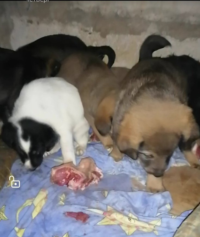 D91BD075-B56A-46C3-9B5F-7DCA2A02A95A