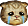 kociak.png
