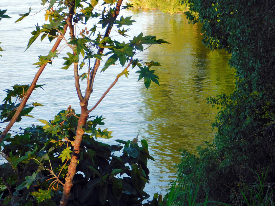DSCN0357.jpg