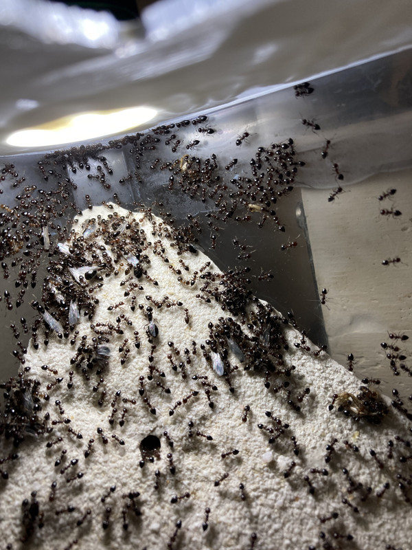 FB818D8B-F8B9-4F86-BCB5-5A2A31D783FC