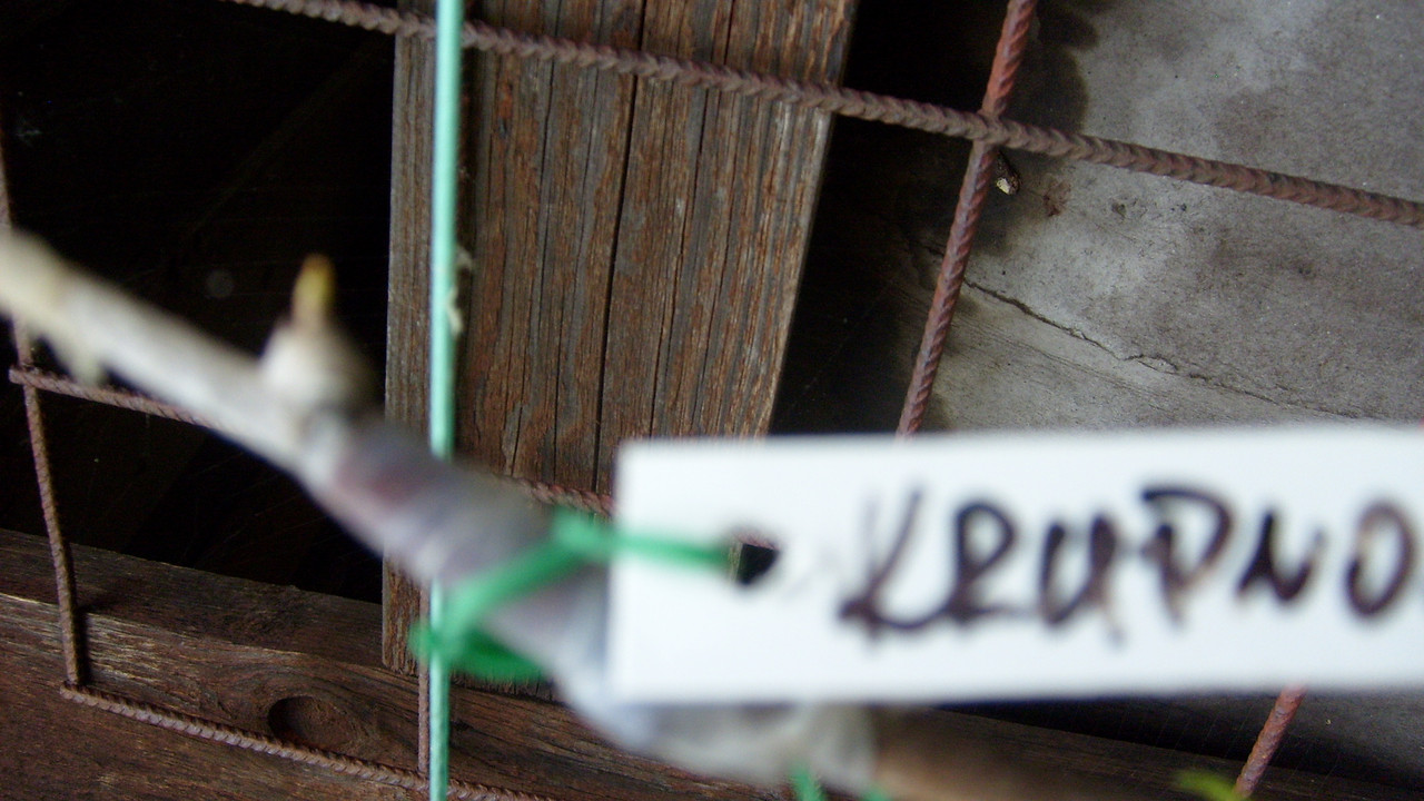 S6302396 — Postimages