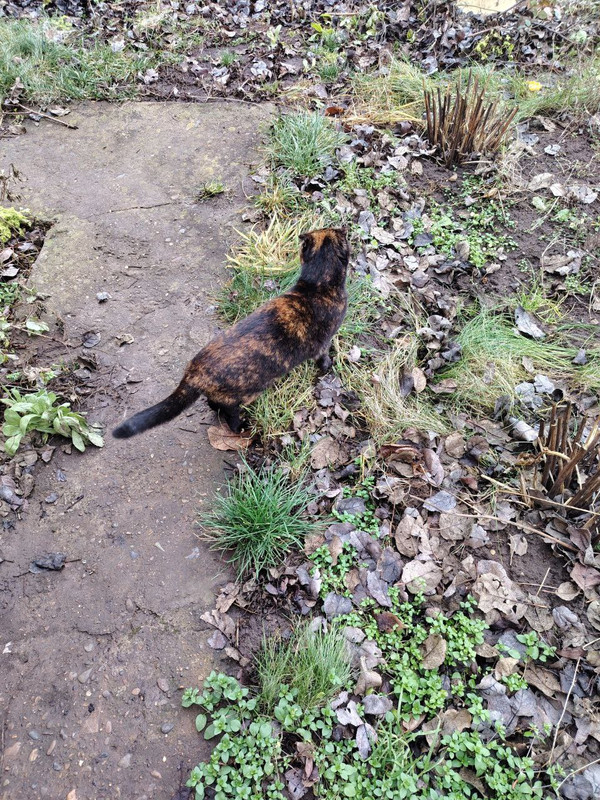 1 photo 2025 12 01 14 38 04 (3)