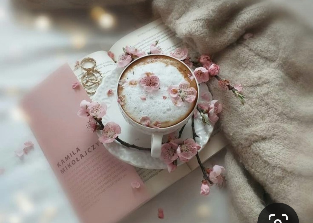 Screenshot_20230722_010109_Pinterest