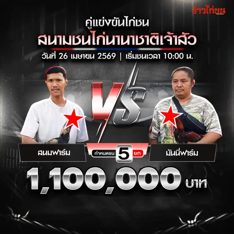 สนมฟาร์ม พบ มันนี่ฟาร์ม โปรแกรมไก่ชน สนามชนไก่นานาชาติเจ้าสัว วันที่ 26 เมษายน 2569