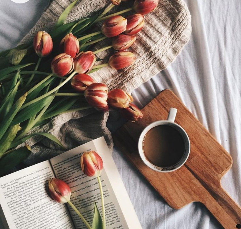 Screenshot_20221213-235433_Chrome