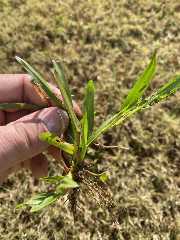 984D13CC-6A98-457F-AFE1-B132AD891862