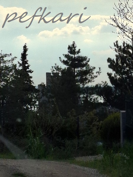 Slika