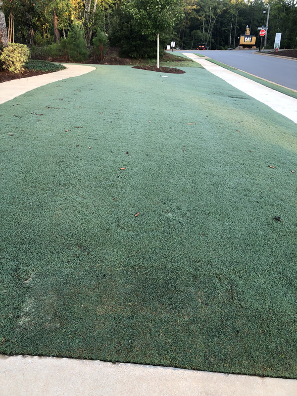 134F32FF-5C15-4910-8475-34285D4FB5E0