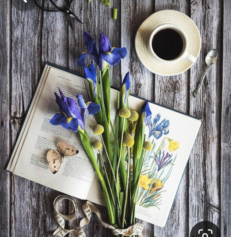 Screenshot_20230421_000006_Pinterest