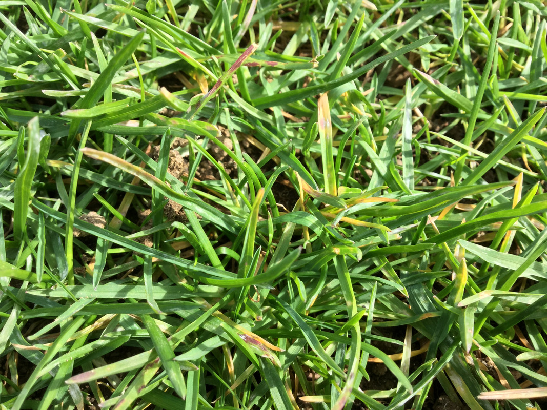 AC8B1BDA-A632-4BB4-A1BD-2A8437F26CFC