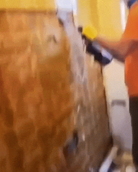https://i.postimg.cc/3JxSCdhK/5.gif