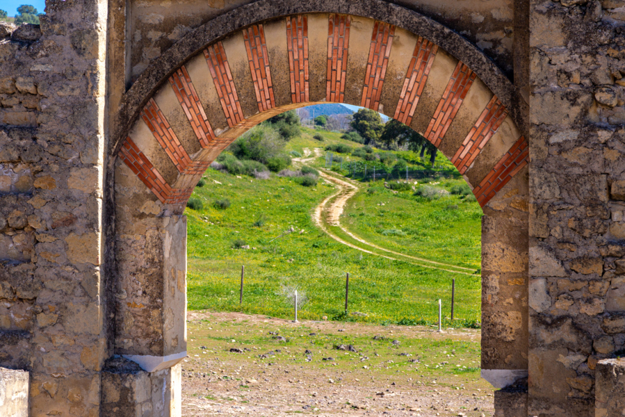 3er DIA MIÉRCOLES 11 DE MARZO - CORDOBA + MEDINA AZAHARA (8)