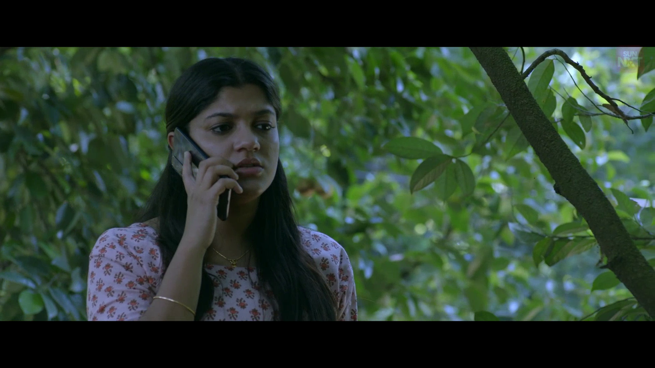 vlcsnap 2026 02 11 15h46m09s481