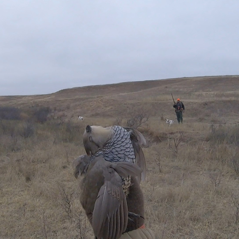 24642918847_04e5815932_o