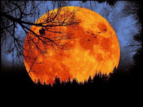 Fall-Orang-Moon-Big