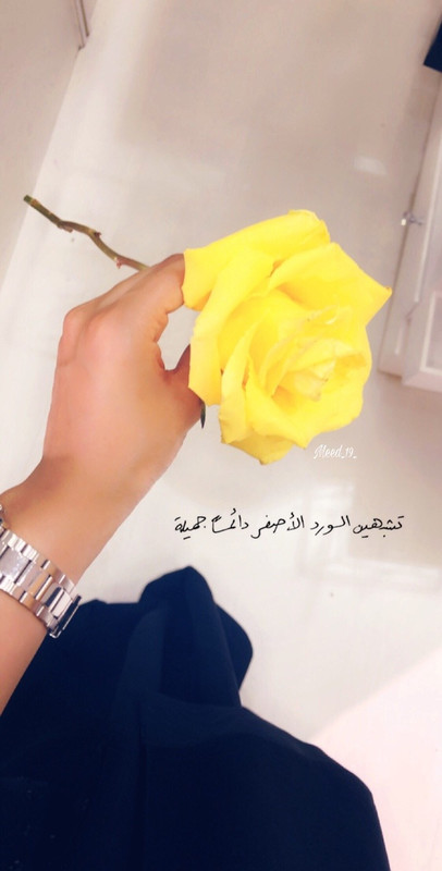 8567786B-2068-41A3-BE8C-B63C01ACCA4A