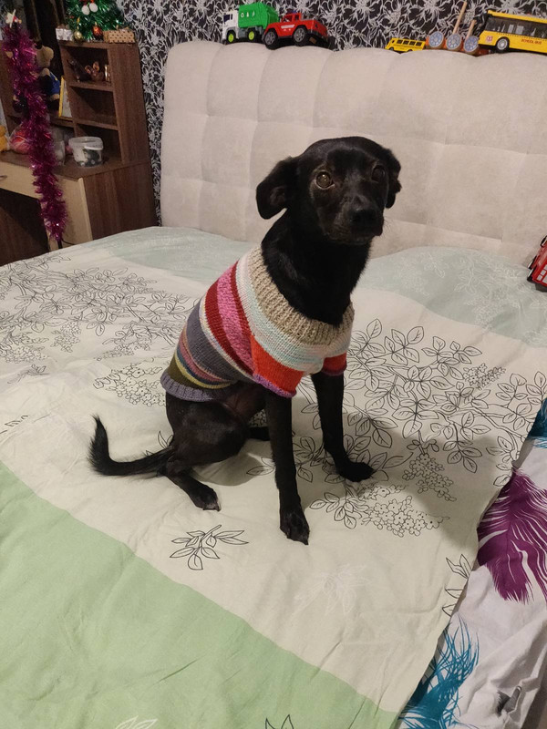 IMG-0dab95b58ccba50cdbdf8ef374959ec6-V