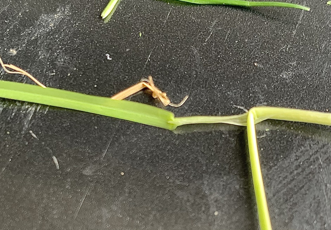 58D16081-CF88-413F-9769-8605A12F6805