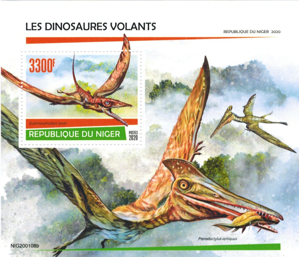 1700102185 poknok art p eudimorfodon 60 1