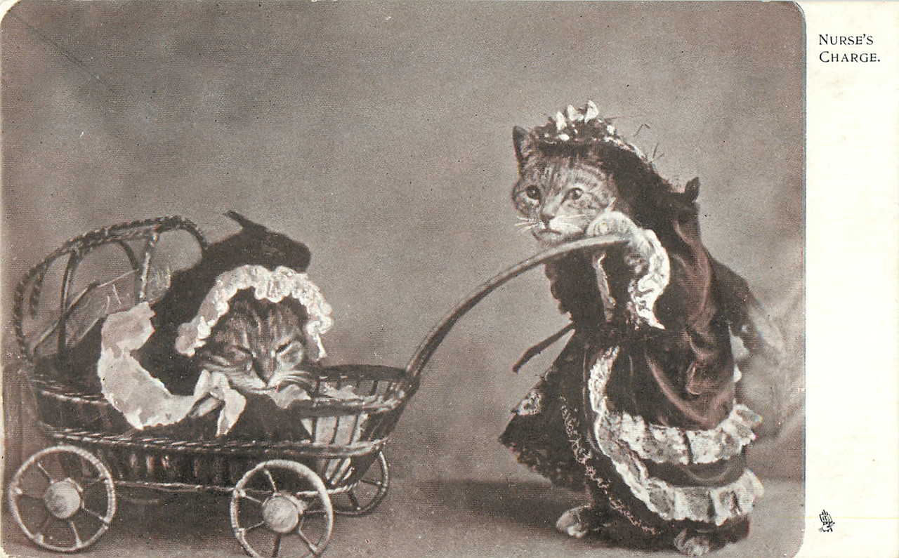 05-2011-10-06-11-37-45