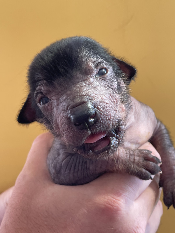 BCA60BF7-C167-4577-9920-1FF92188F728