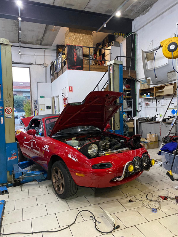 Whats App Image 2025 11 11 at 08 42 24 1