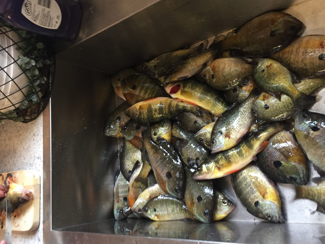 976BE40A-AD50-4194-B1F4-E64657B89F22