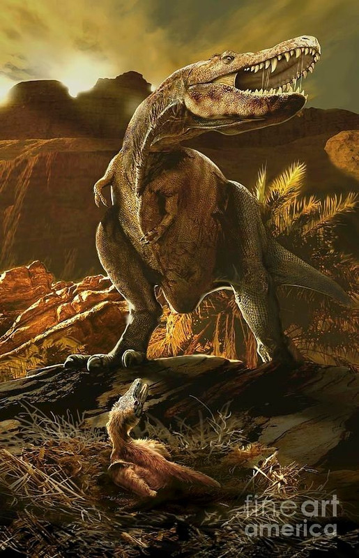 c2200be9e998f7fb16ee14ee3e5162d8