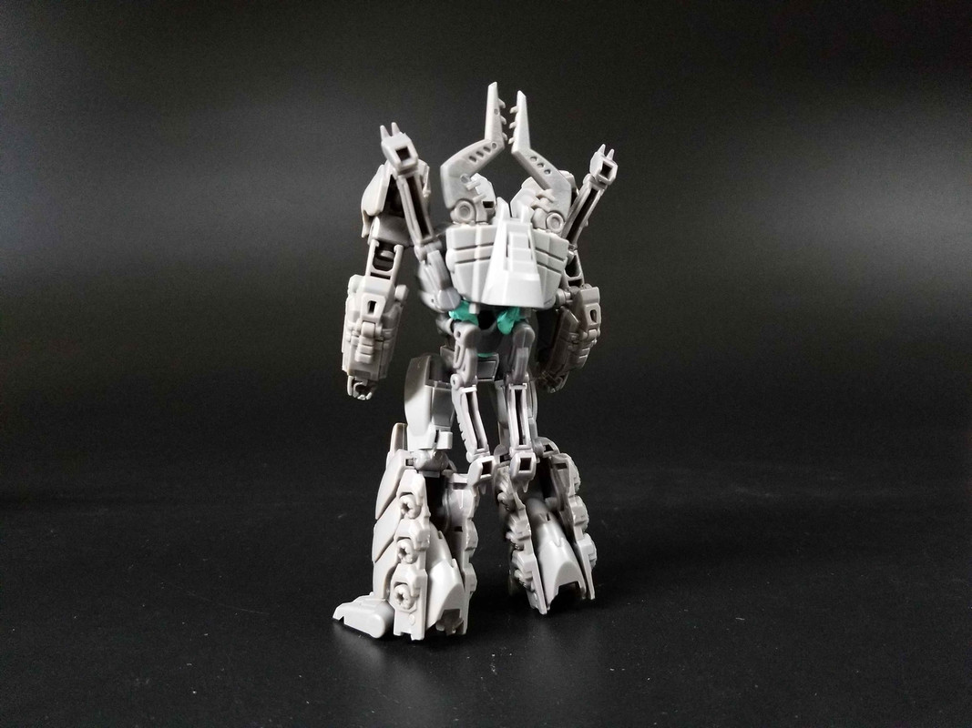 Planet-X-Insecticons-5