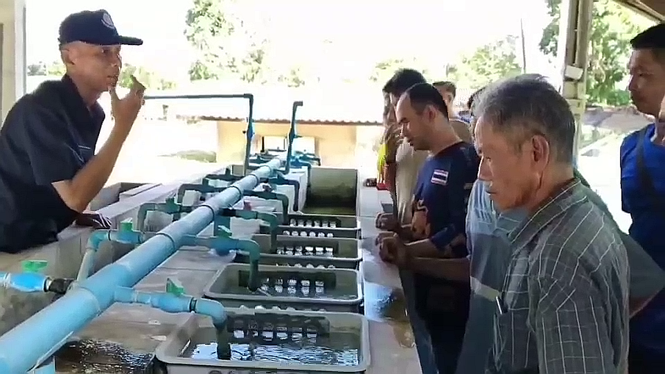 vlcsnap-2025-10-31-17h45m55s610