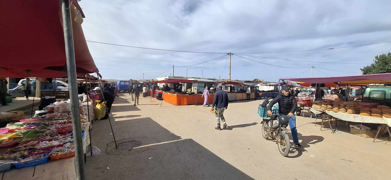 636085942-1811854806147703-4365835732169398490-n