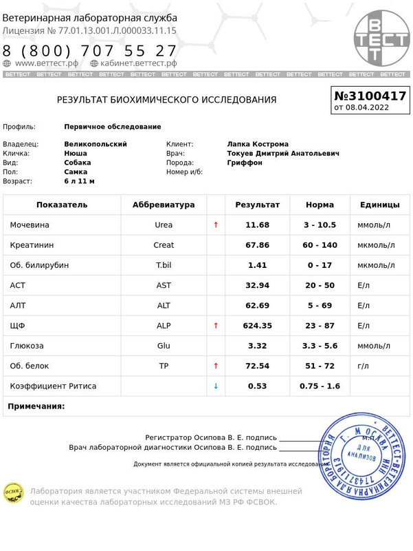 IMG-20220418-WA0014