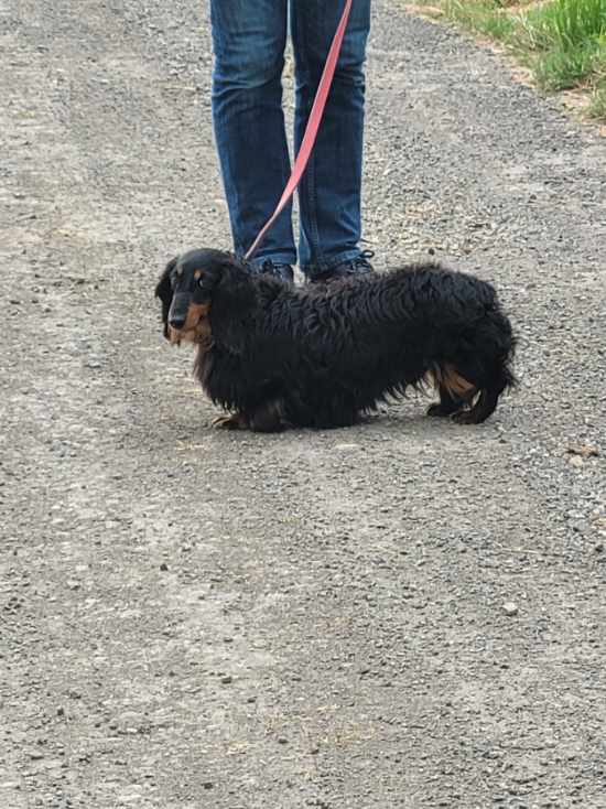 [Image: IMG-20240708-072932.jpg]