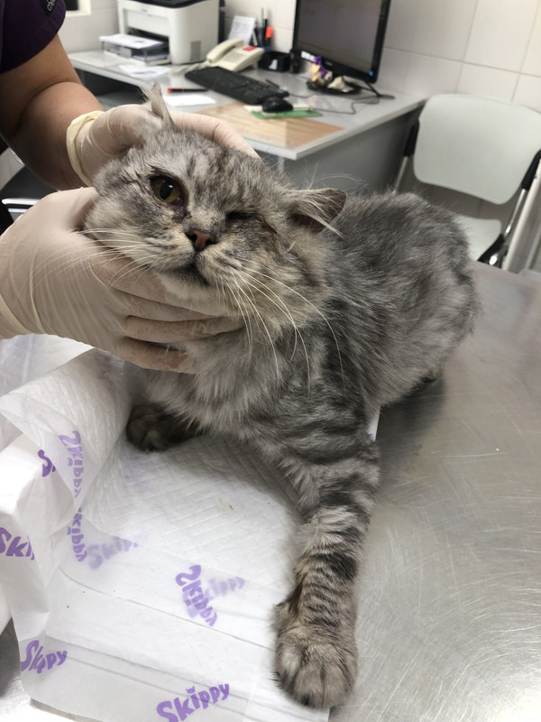 81EECE78-AC21-4ECA-AD66-C15C9DFD2DFF