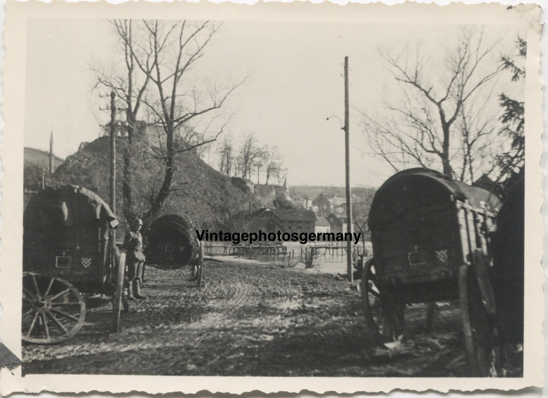 Foto Bosnien Bosa Krupa 369 Inf Div Kroatisch Bandenkampf Wappen Kutsche