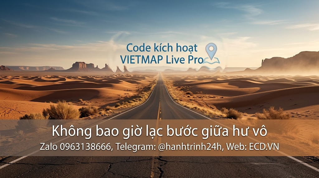 vietmap pro vip code