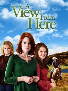 Mending-Fences-2009-1080p-WEBRip-x265-RA
