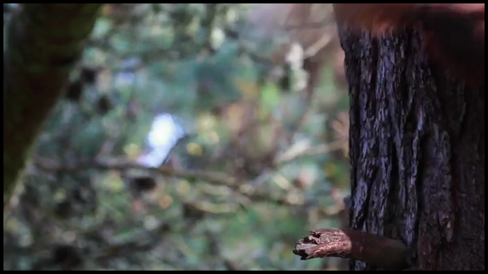 [Image: lqr7hxc9p04a.png]