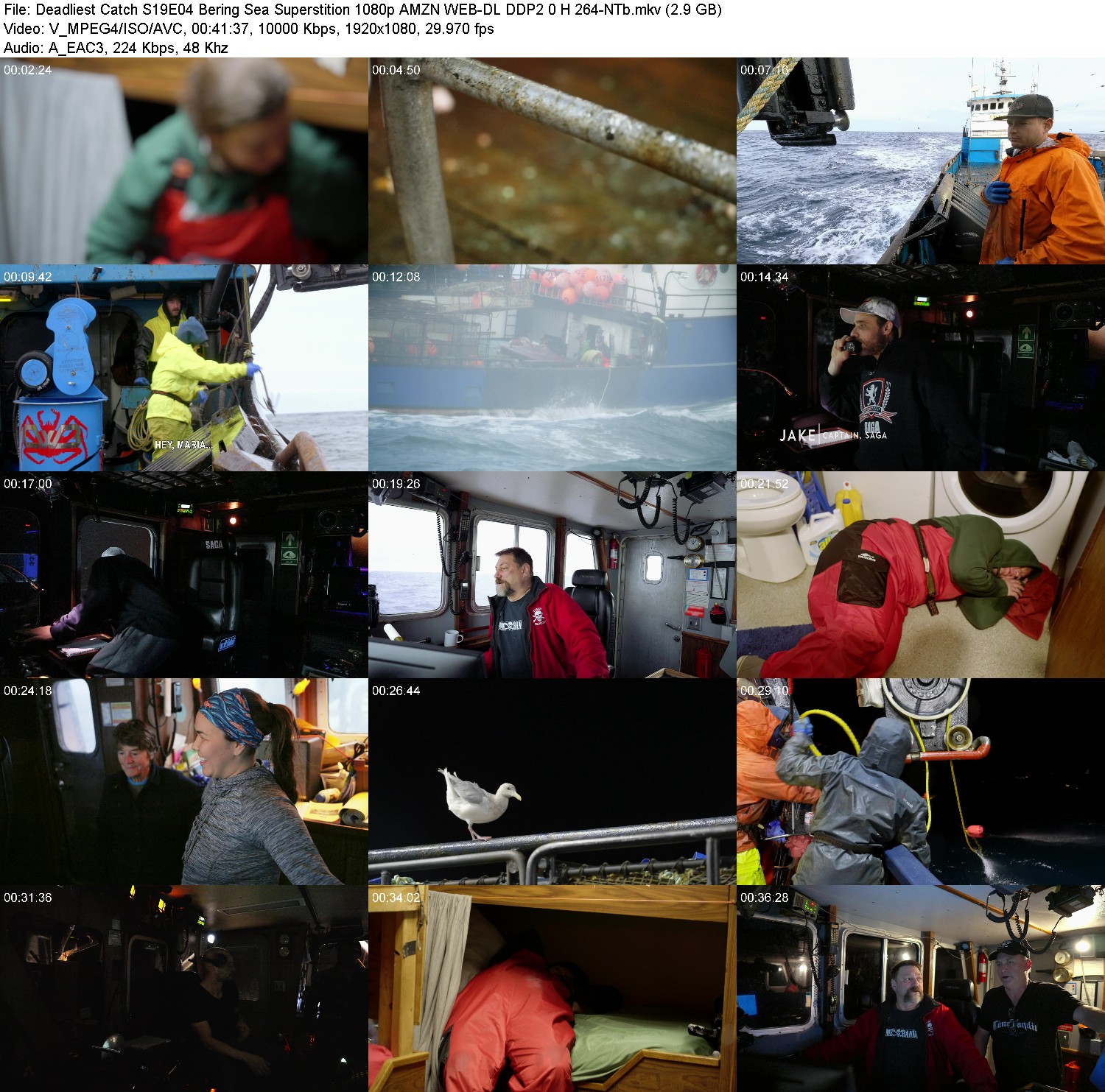 [Image: mmg4sg31yux0.jpg]