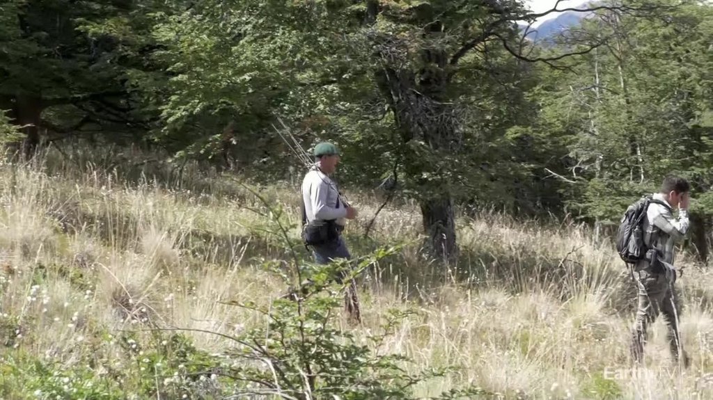 [Image: lw86la35uulv.jpg]