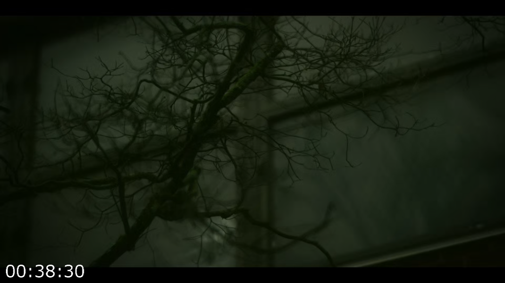 [Image: mzp3r89vtm9o.png]