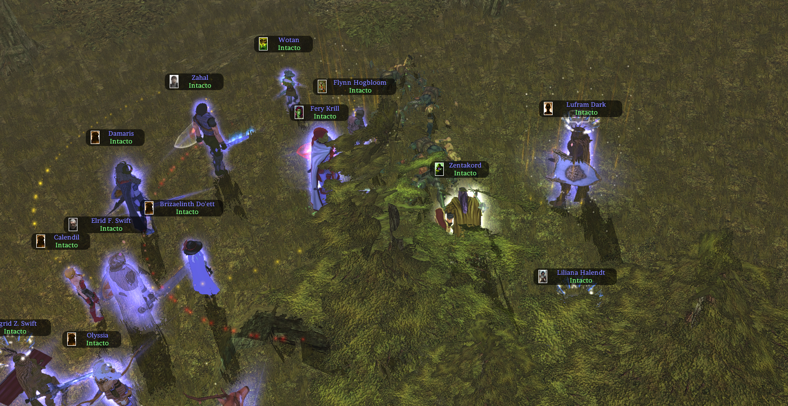 bruma2.png