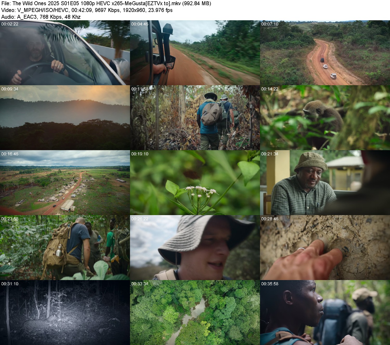 [Image: ofafd9v49wl2.jpg]